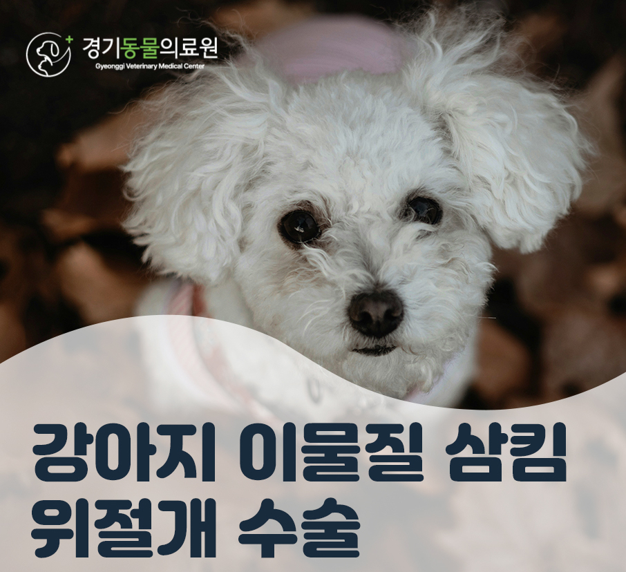 1da46a7f7d8fd678891544b59cf7ae2d_1762498332_8203.jpg 1da46a7f7d8fd678891544b59cf7ae2d_1762498332_8203.jpg