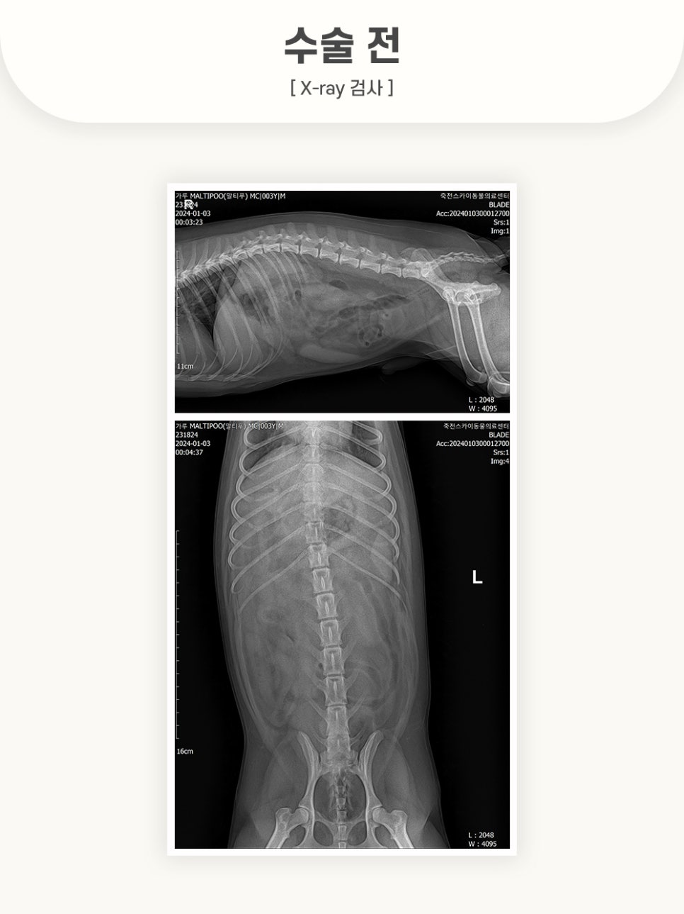 1da46a7f7d8fd678891544b59cf7ae2d_1762498420_5267.jpg 1da46a7f7d8fd678891544b59cf7ae2d_1762498420_5267.jpg