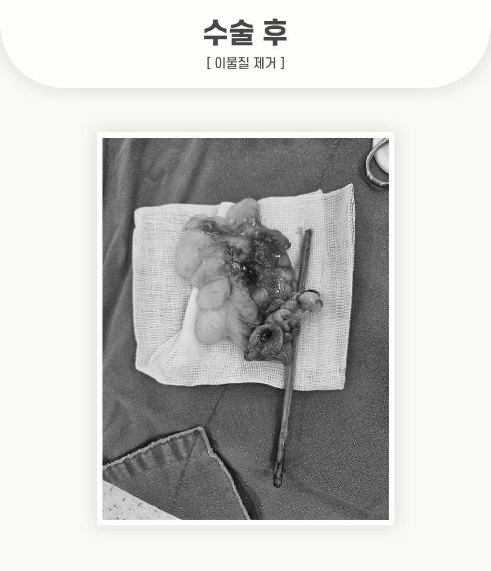 1da46a7f7d8fd678891544b59cf7ae2d_1762498621_9124.jpg 1da46a7f7d8fd678891544b59cf7ae2d_1762498621_9124.jpg