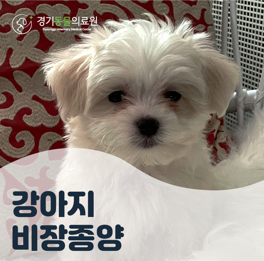 405fc4ca1ef0cecb144898e957148278_1762500487_5265.jpg 405fc4ca1ef0cecb144898e957148278_1762500487_5265.jpg