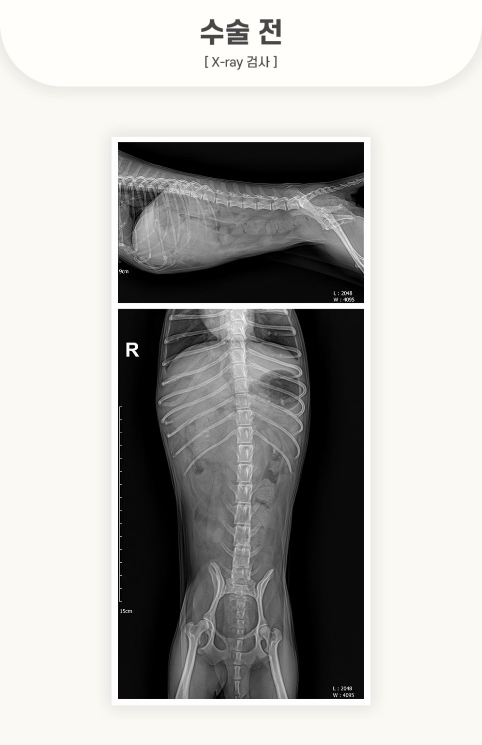405fc4ca1ef0cecb144898e957148278_1762500594_2446.jpg 405fc4ca1ef0cecb144898e957148278_1762500594_2446.jpg