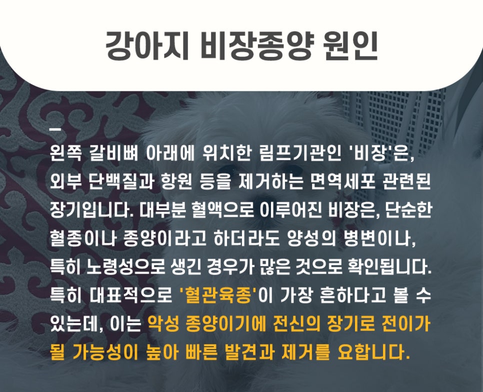 405fc4ca1ef0cecb144898e957148278_1762500653_3955.jpg 405fc4ca1ef0cecb144898e957148278_1762500653_3955.jpg