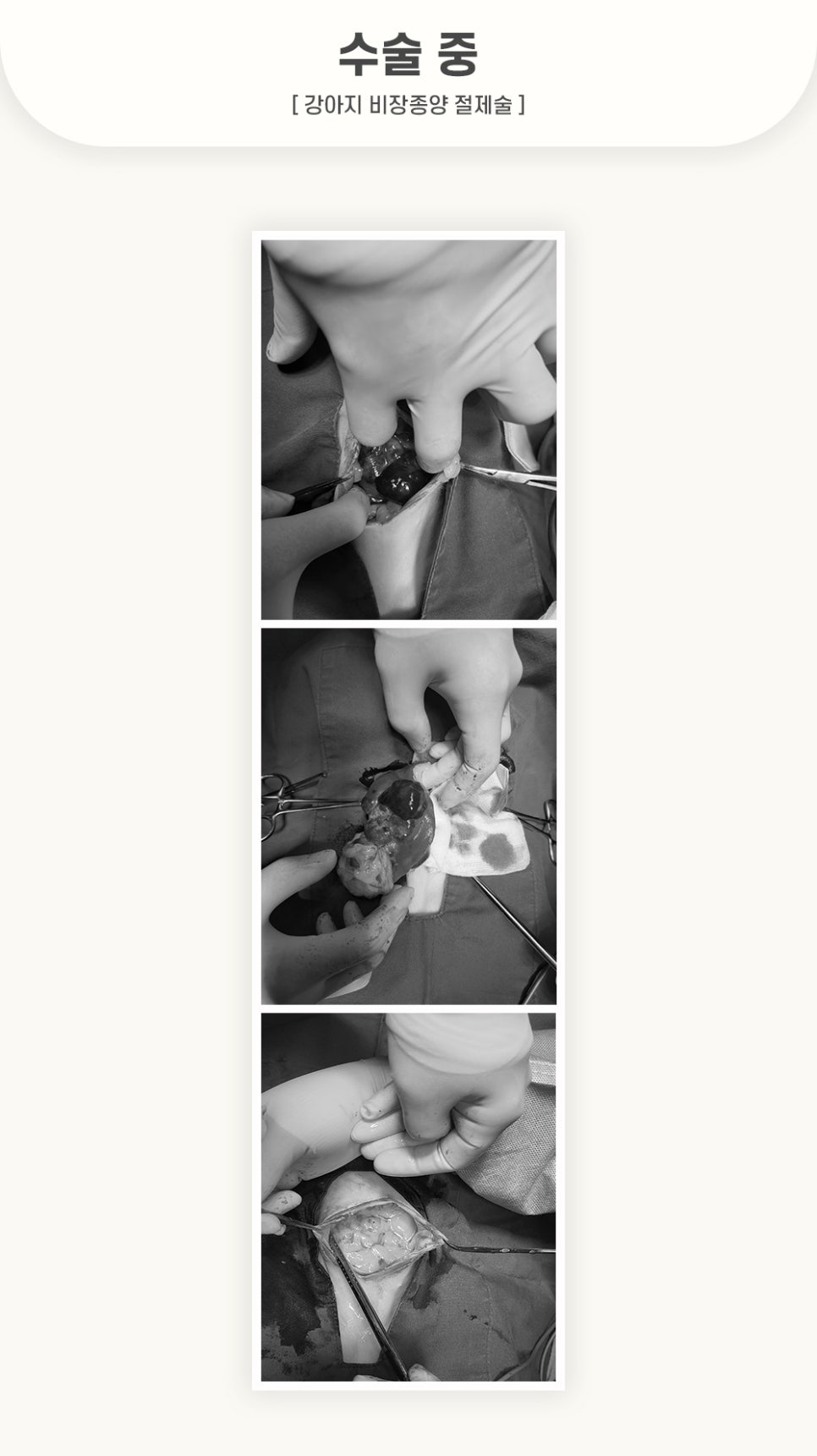 405fc4ca1ef0cecb144898e957148278_1762500777_5431.jpg 405fc4ca1ef0cecb144898e957148278_1762500777_5431.jpg