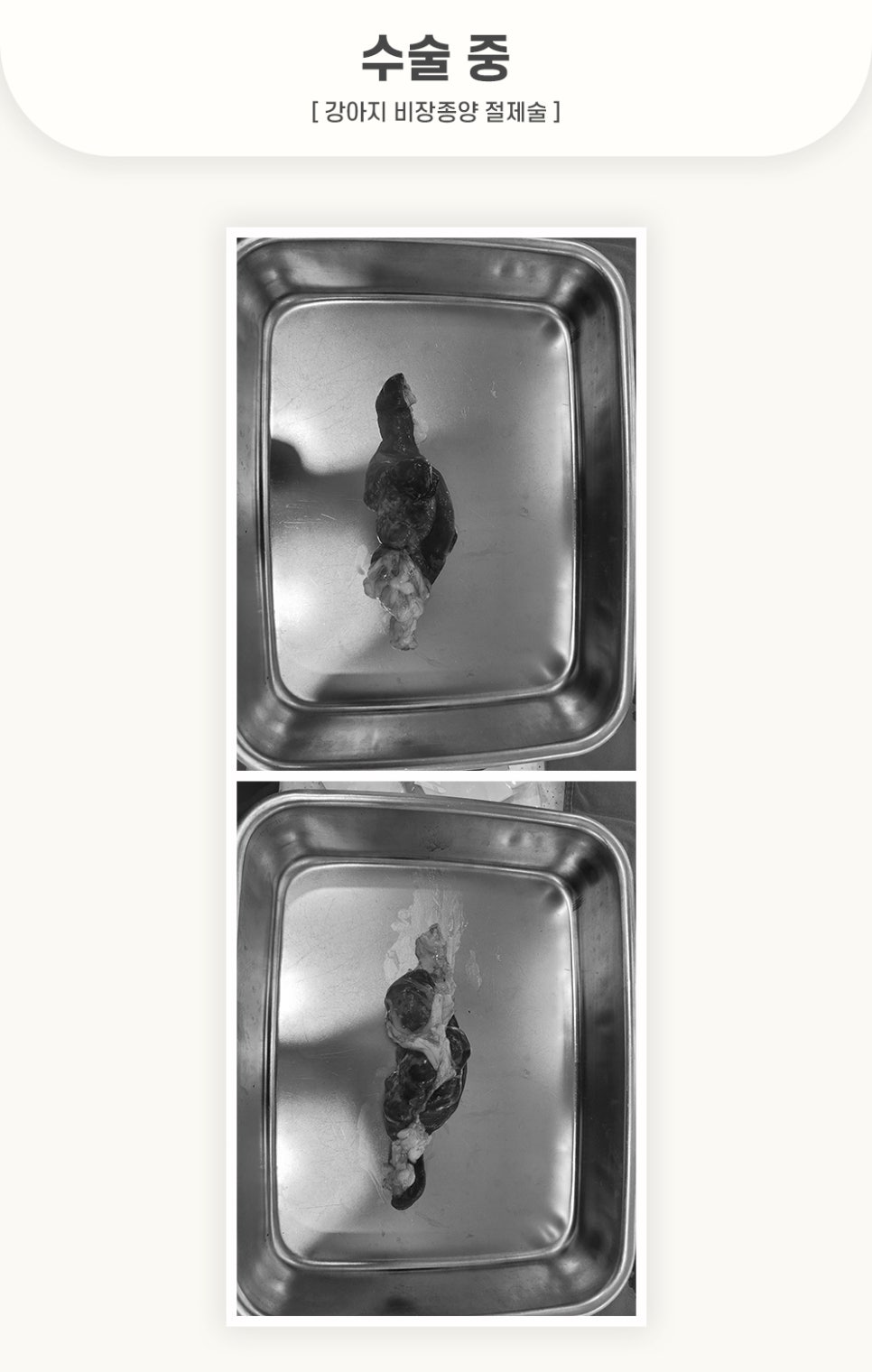 405fc4ca1ef0cecb144898e957148278_1762500799_5752.jpg 405fc4ca1ef0cecb144898e957148278_1762500799_5752.jpg