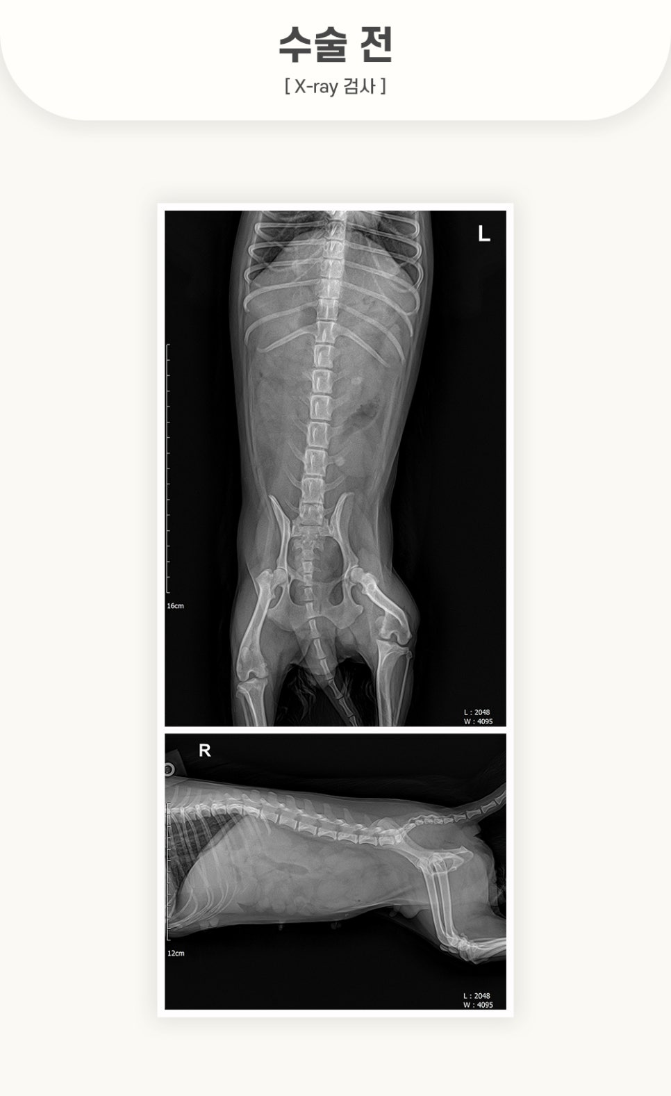 405fc4ca1ef0cecb144898e957148278_1762501125_215.jpg 405fc4ca1ef0cecb144898e957148278_1762501125_215.jpg