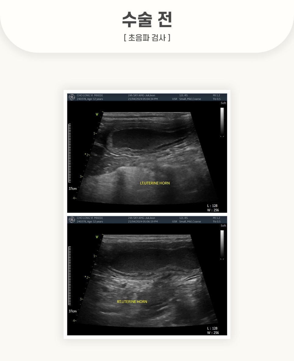 405fc4ca1ef0cecb144898e957148278_1762501137_6123.jpg 405fc4ca1ef0cecb144898e957148278_1762501137_6123.jpg