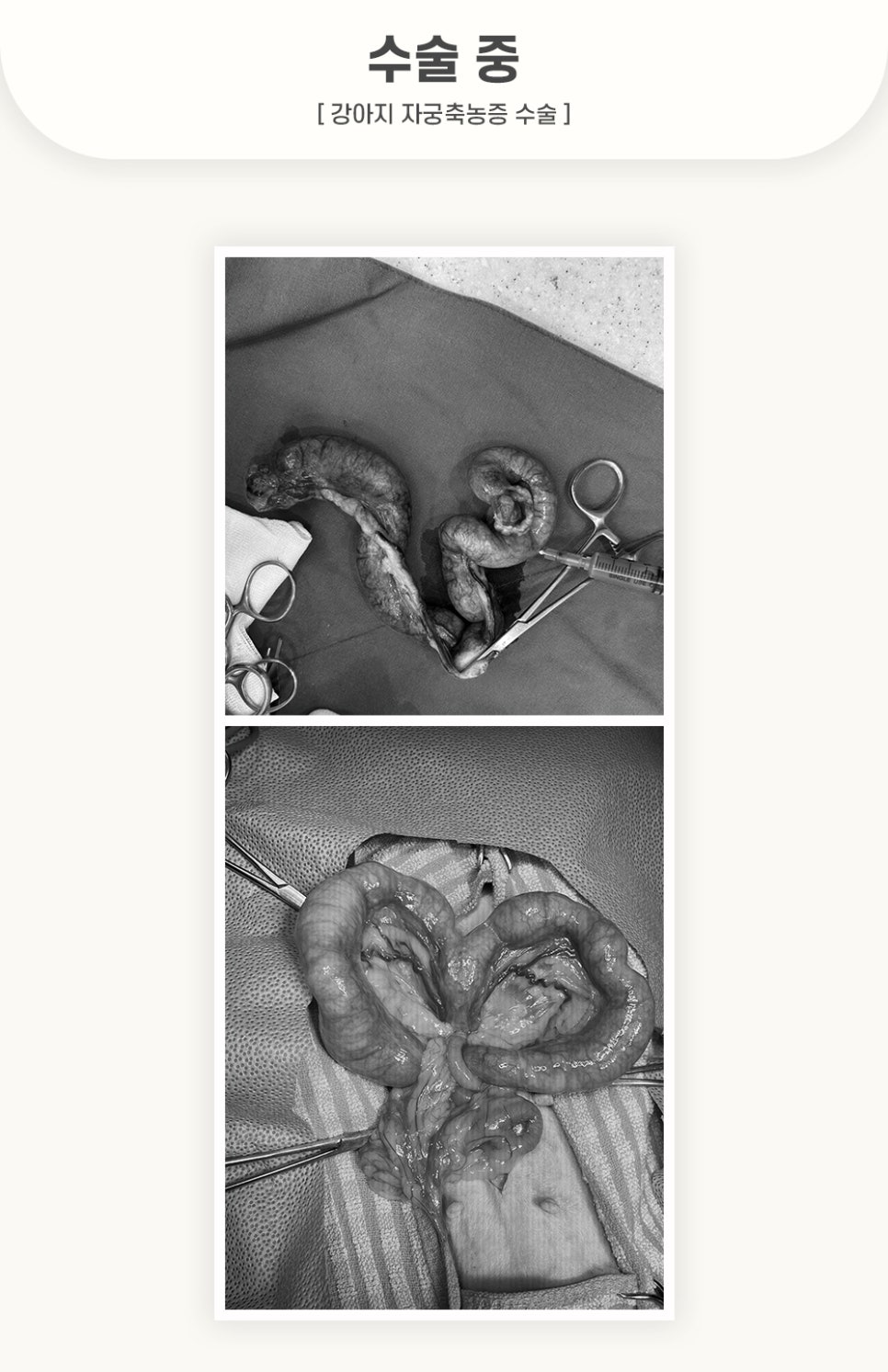 405fc4ca1ef0cecb144898e957148278_1762501344_1384.jpg 405fc4ca1ef0cecb144898e957148278_1762501344_1384.jpg