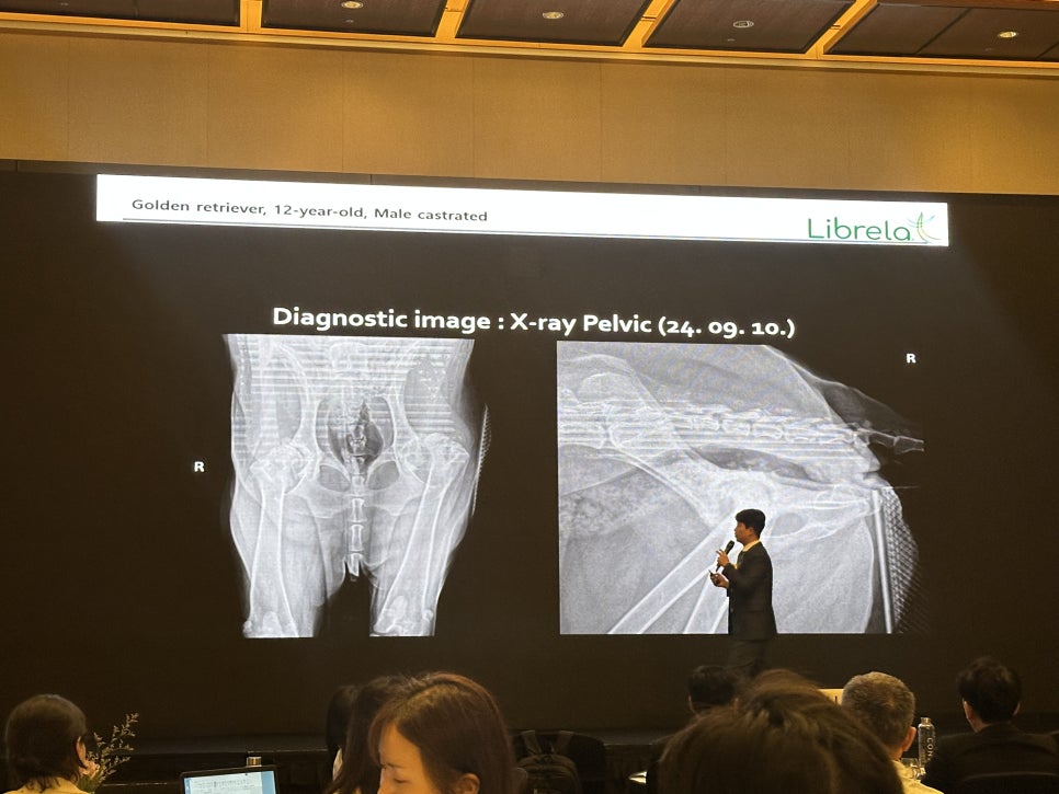 5984e776878f1c4953e52ab8b9aec38d_1762570702_8223.jpg 5984e776878f1c4953e52ab8b9aec38d_1762570702_8223.jpg