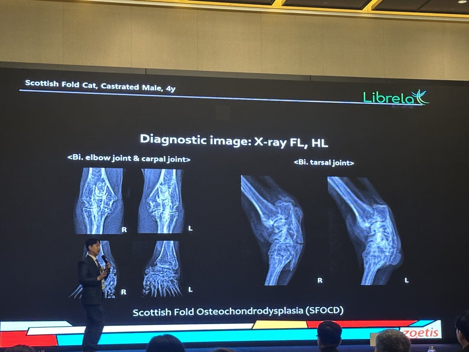 5984e776878f1c4953e52ab8b9aec38d_1762570844_6902.jpg 5984e776878f1c4953e52ab8b9aec38d_1762570844_6902.jpg