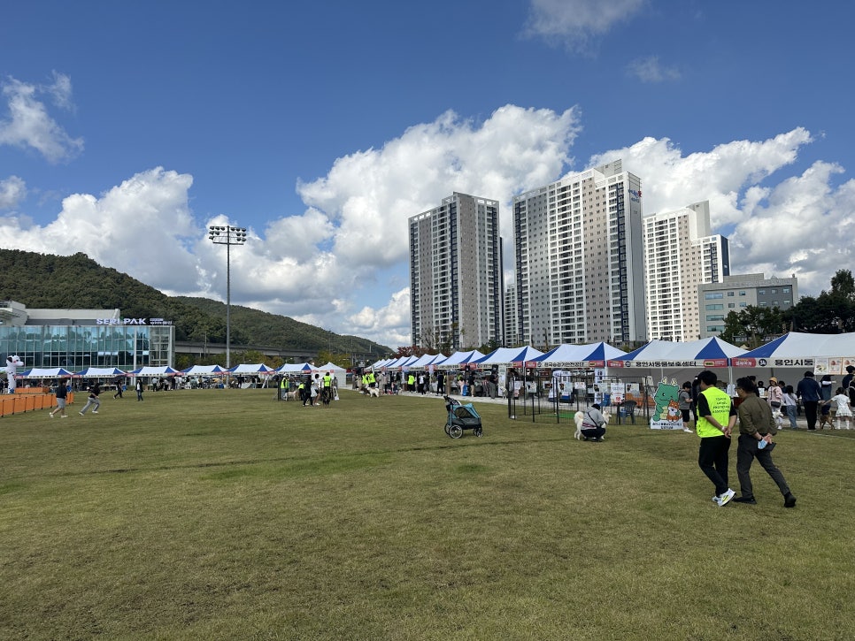 5984e776878f1c4953e52ab8b9aec38d_1762572034_337.jpg 5984e776878f1c4953e52ab8b9aec38d_1762572034_337.jpg