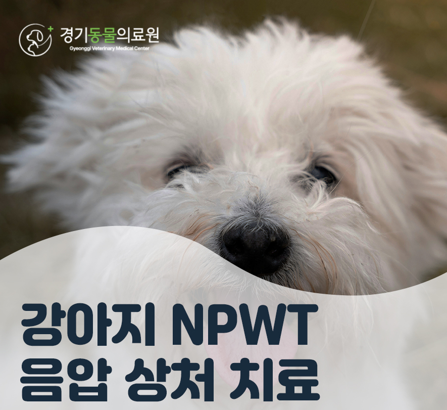 5984e776878f1c4953e52ab8b9aec38d_1762579212_9259.jpg 5984e776878f1c4953e52ab8b9aec38d_1762579212_9259.jpg