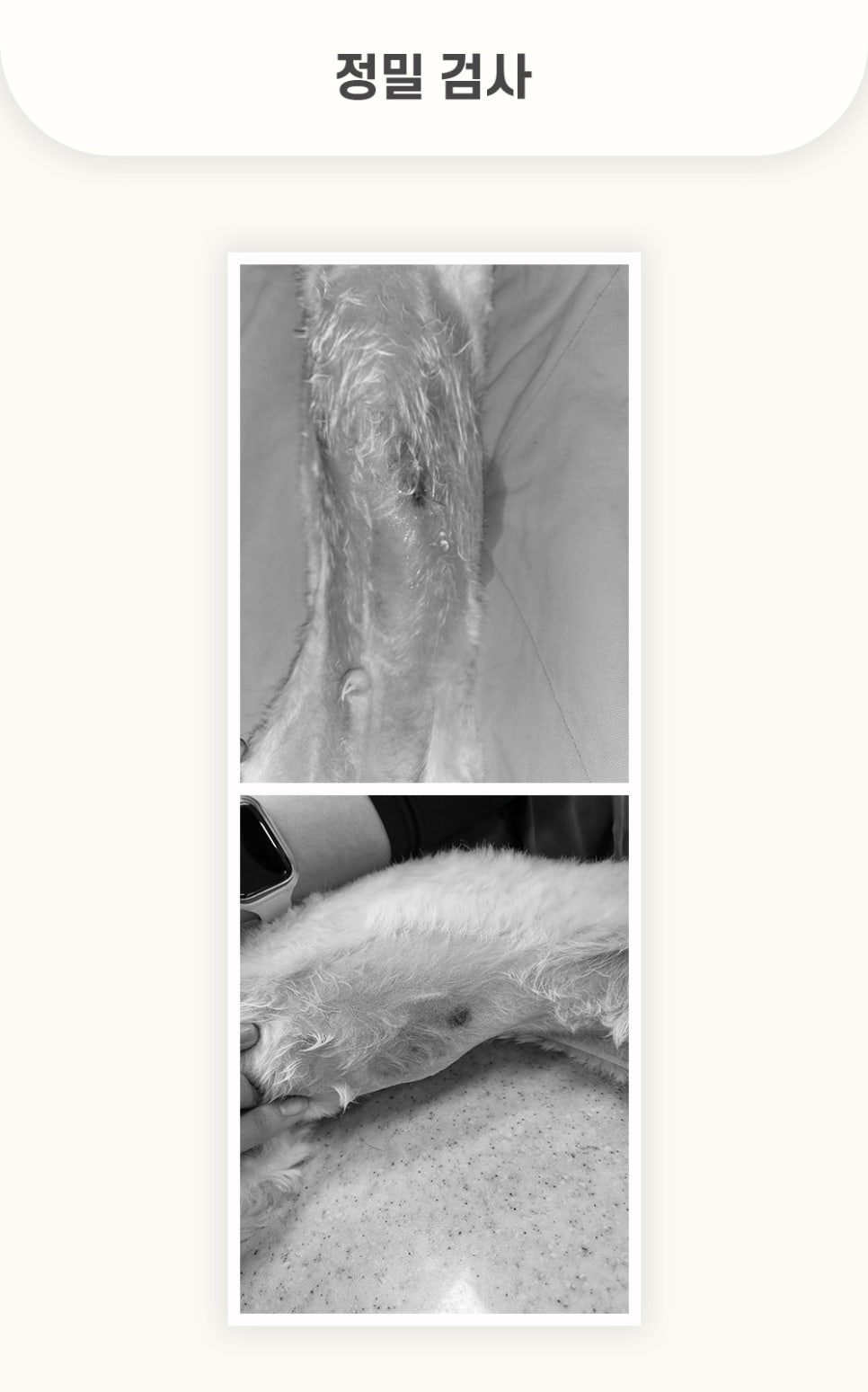 5984e776878f1c4953e52ab8b9aec38d_1762579278_4649.jpg 5984e776878f1c4953e52ab8b9aec38d_1762579278_4649.jpg