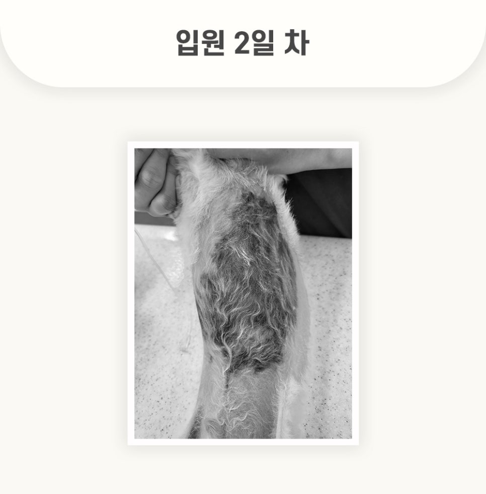 5984e776878f1c4953e52ab8b9aec38d_1762579304_5562.jpg 5984e776878f1c4953e52ab8b9aec38d_1762579304_5562.jpg