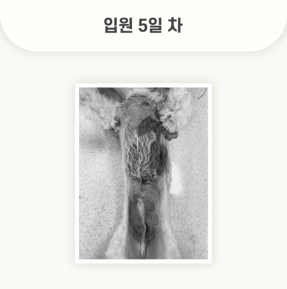 5984e776878f1c4953e52ab8b9aec38d_1762579332_367.jpg 5984e776878f1c4953e52ab8b9aec38d_1762579332_367.jpg