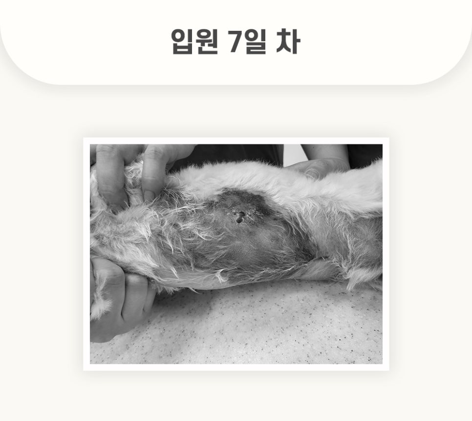 5984e776878f1c4953e52ab8b9aec38d_1762579399_2945.jpg 5984e776878f1c4953e52ab8b9aec38d_1762579399_2945.jpg