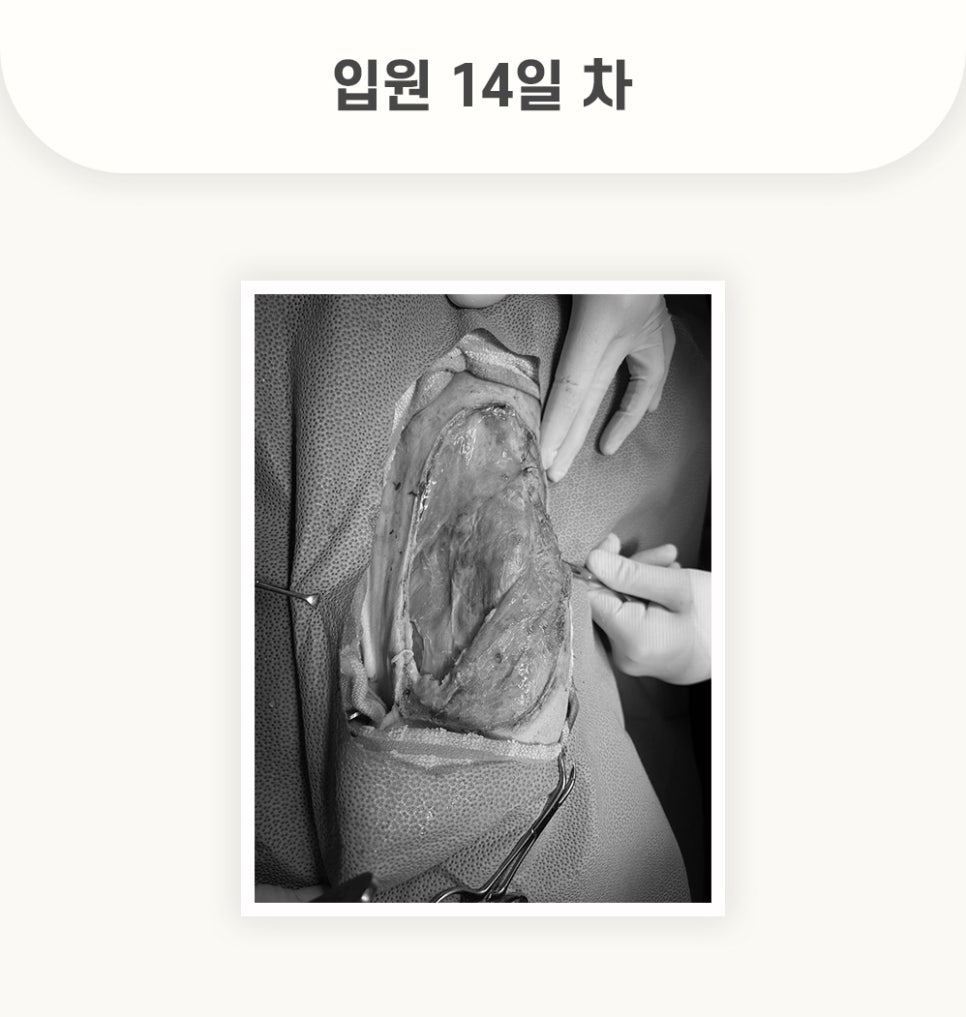 5984e776878f1c4953e52ab8b9aec38d_1762579417_4277.jpg 5984e776878f1c4953e52ab8b9aec38d_1762579417_4277.jpg