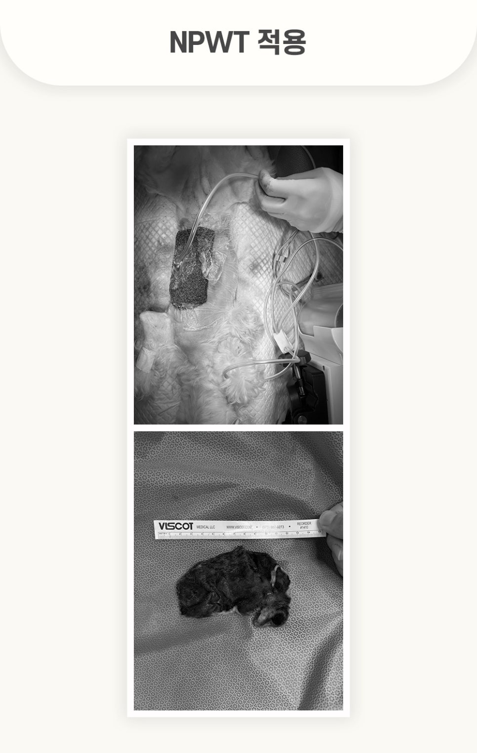 5984e776878f1c4953e52ab8b9aec38d_1762579447_956.jpg 5984e776878f1c4953e52ab8b9aec38d_1762579447_956.jpg