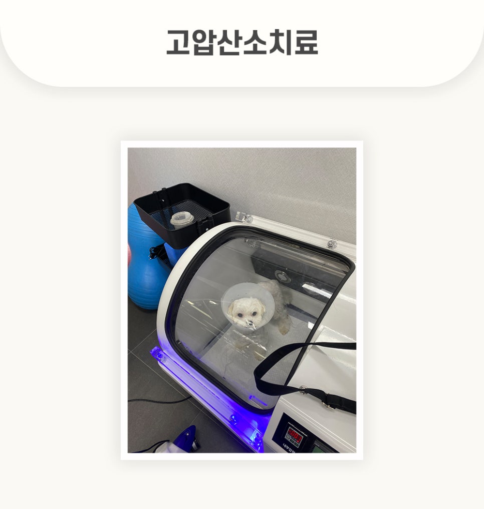 5984e776878f1c4953e52ab8b9aec38d_1762579525_3818.jpg 5984e776878f1c4953e52ab8b9aec38d_1762579525_3818.jpg