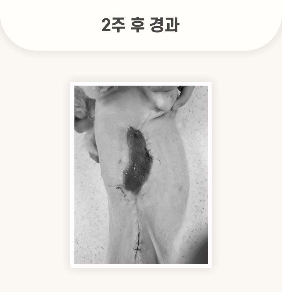 5984e776878f1c4953e52ab8b9aec38d_1762579569_7075.jpg 5984e776878f1c4953e52ab8b9aec38d_1762579569_7075.jpg