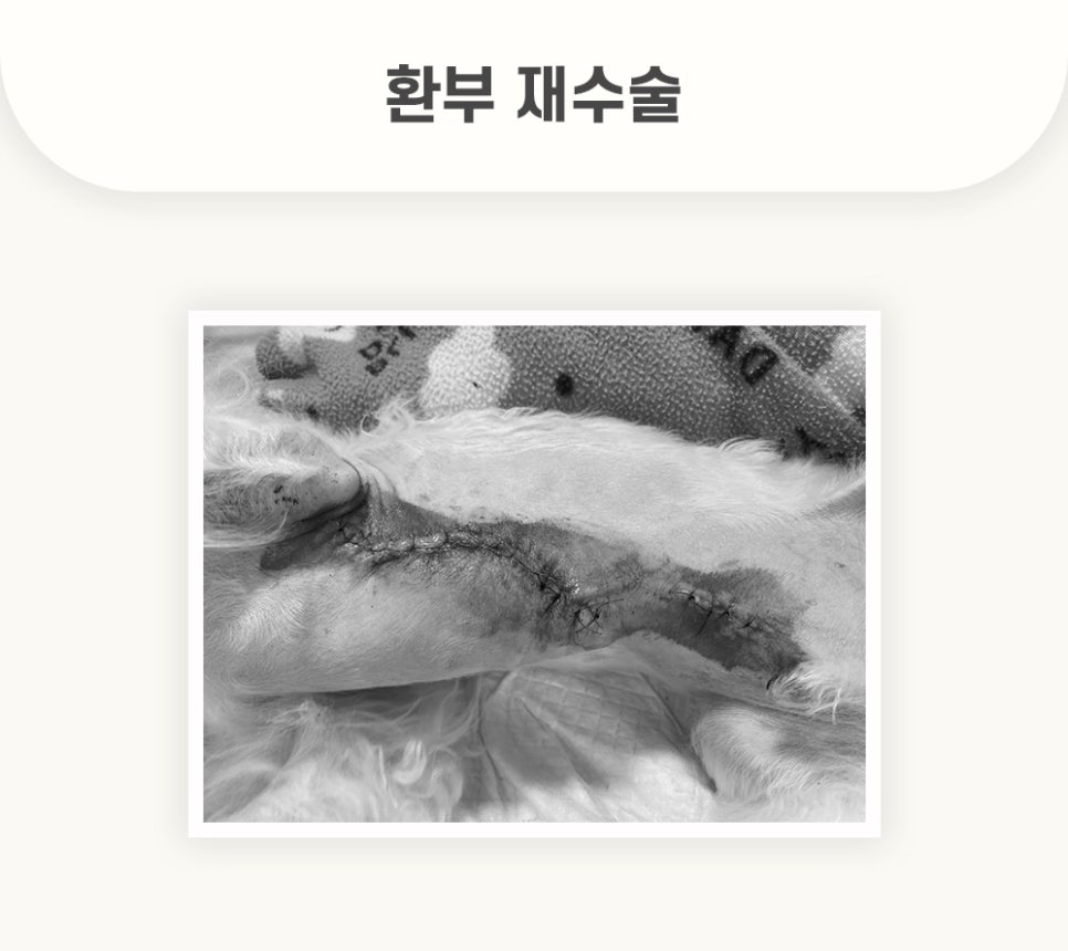 5984e776878f1c4953e52ab8b9aec38d_1762579612_5487.jpg 5984e776878f1c4953e52ab8b9aec38d_1762579612_5487.jpg