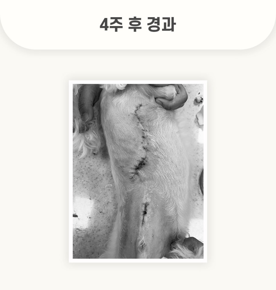 5984e776878f1c4953e52ab8b9aec38d_1762579643_7818.jpg 5984e776878f1c4953e52ab8b9aec38d_1762579643_7818.jpg