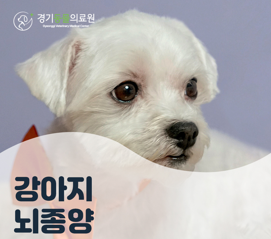 5984e776878f1c4953e52ab8b9aec38d_1762579898_9391.jpg 5984e776878f1c4953e52ab8b9aec38d_1762579898_9391.jpg