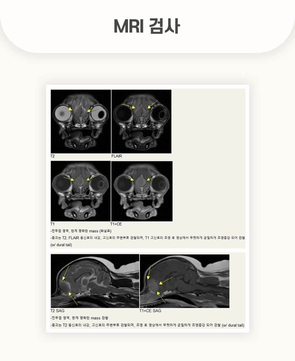5984e776878f1c4953e52ab8b9aec38d_1762579981_8601.jpg 5984e776878f1c4953e52ab8b9aec38d_1762579981_8601.jpg