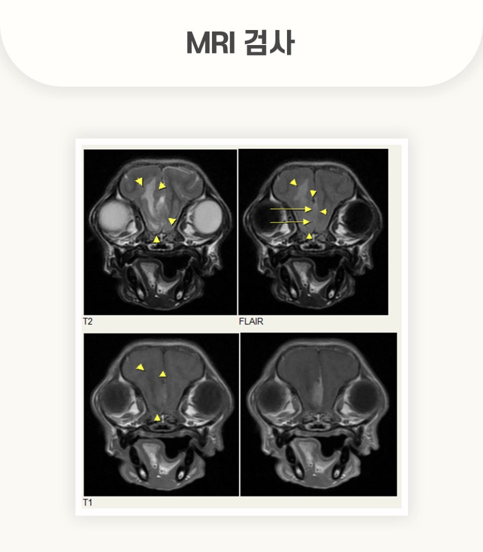 5984e776878f1c4953e52ab8b9aec38d_1762579991_7861.jpg 5984e776878f1c4953e52ab8b9aec38d_1762579991_7861.jpg