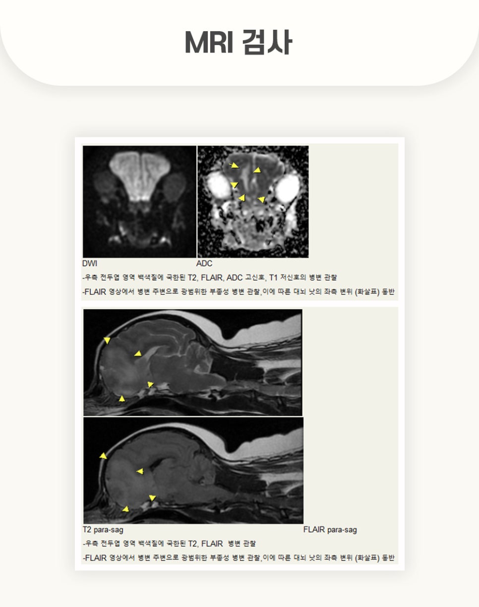 5984e776878f1c4953e52ab8b9aec38d_1762579993_7239.jpg 5984e776878f1c4953e52ab8b9aec38d_1762579993_7239.jpg