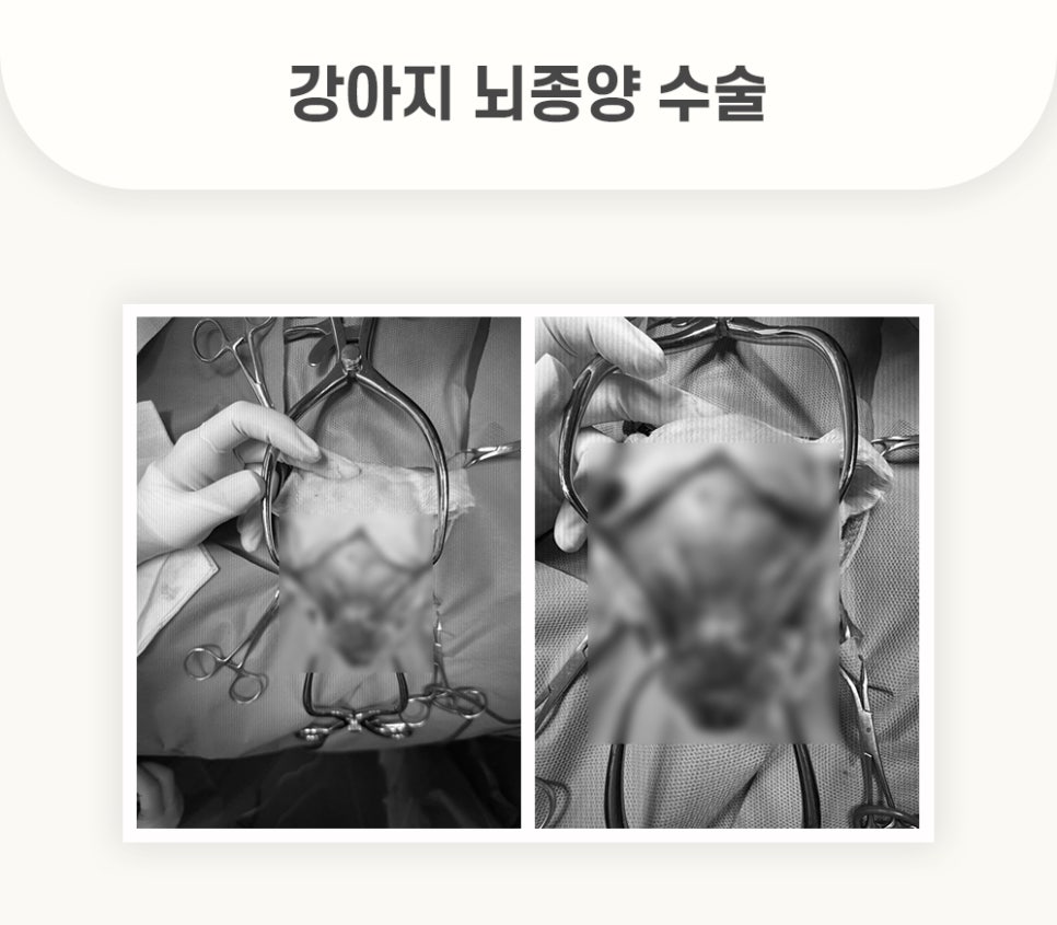 5984e776878f1c4953e52ab8b9aec38d_1762580057_6852.jpg 5984e776878f1c4953e52ab8b9aec38d_1762580057_6852.jpg