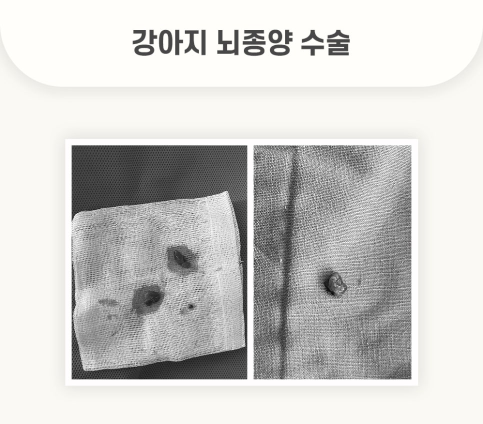 5984e776878f1c4953e52ab8b9aec38d_1762580102_4544.jpg 5984e776878f1c4953e52ab8b9aec38d_1762580102_4544.jpg