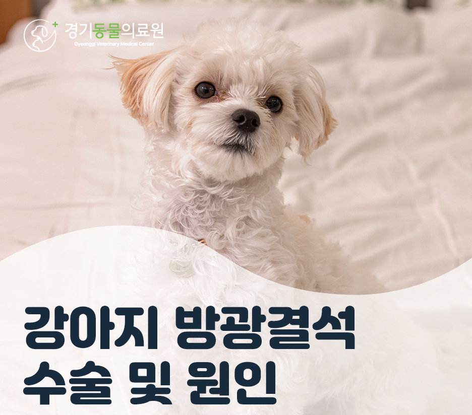 5984e776878f1c4953e52ab8b9aec38d_1762581176_4773.jpg 5984e776878f1c4953e52ab8b9aec38d_1762581176_4773.jpg