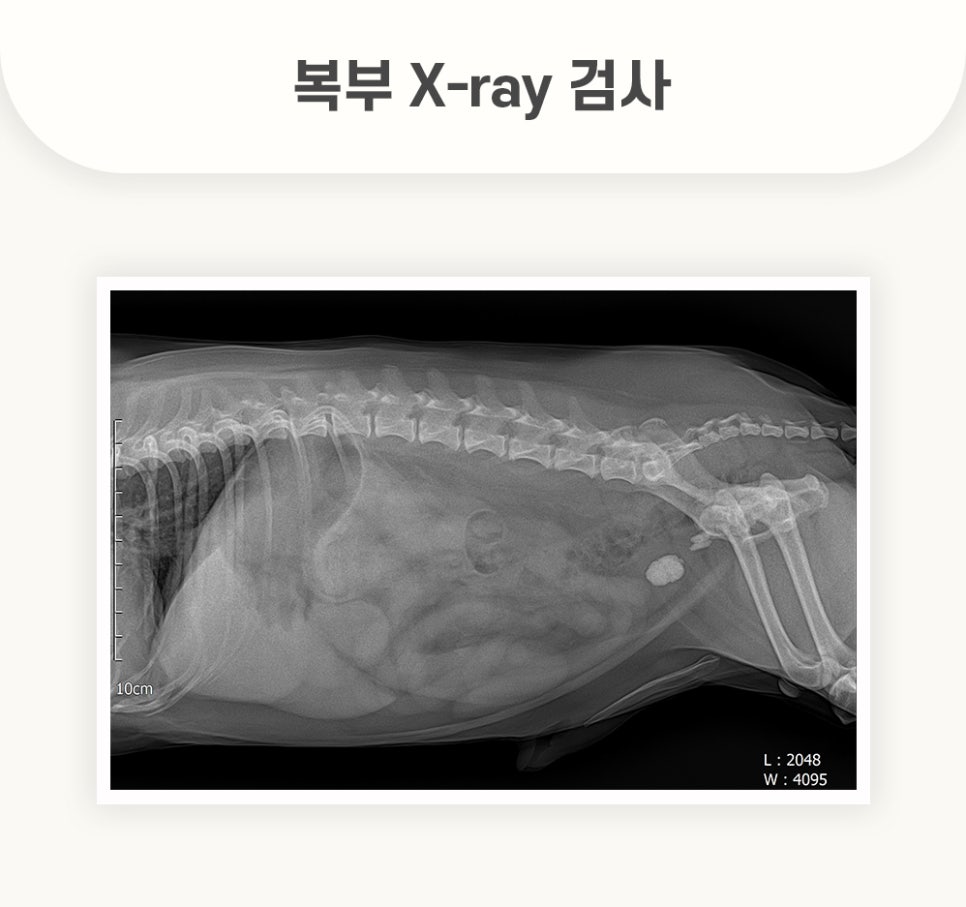 5984e776878f1c4953e52ab8b9aec38d_1762581287_8845.jpg 5984e776878f1c4953e52ab8b9aec38d_1762581287_8845.jpg