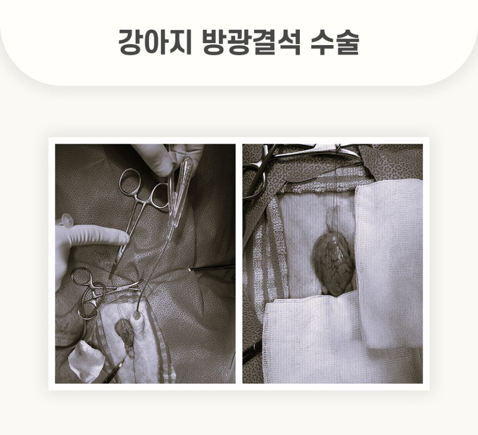 5984e776878f1c4953e52ab8b9aec38d_1762581473_6993.jpg 5984e776878f1c4953e52ab8b9aec38d_1762581473_6993.jpg