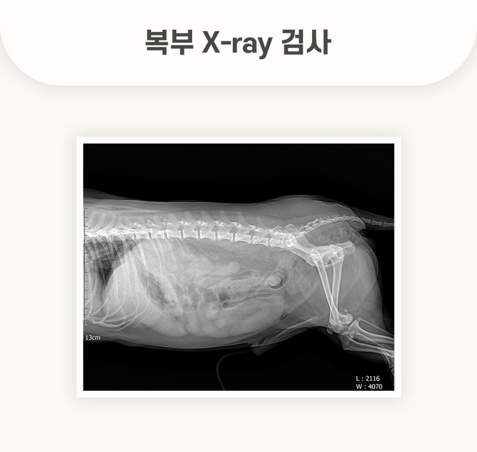 5984e776878f1c4953e52ab8b9aec38d_1762581531_5663.jpg 5984e776878f1c4953e52ab8b9aec38d_1762581531_5663.jpg