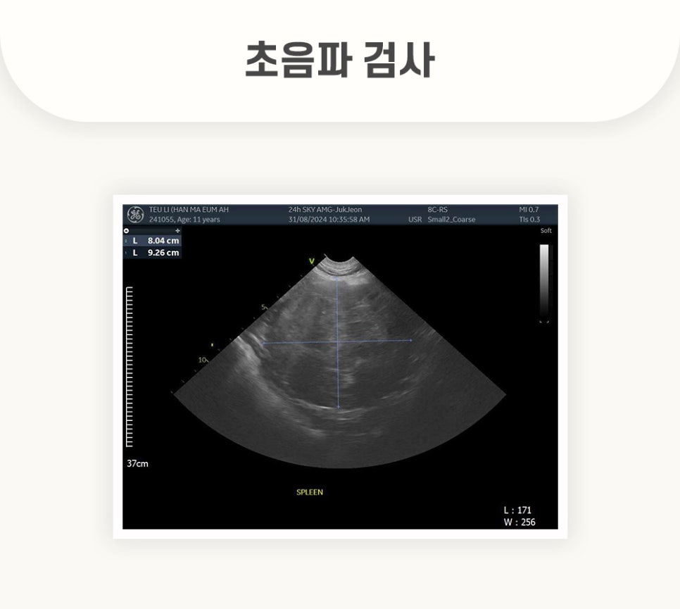 5984e776878f1c4953e52ab8b9aec38d_1762582333_9389.jpg 5984e776878f1c4953e52ab8b9aec38d_1762582333_9389.jpg