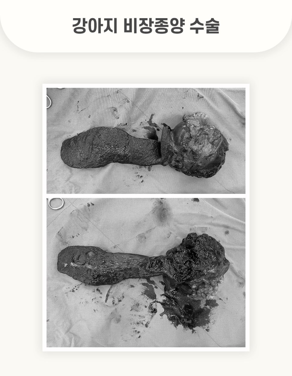 5984e776878f1c4953e52ab8b9aec38d_1762582455_7914.jpg 5984e776878f1c4953e52ab8b9aec38d_1762582455_7914.jpg