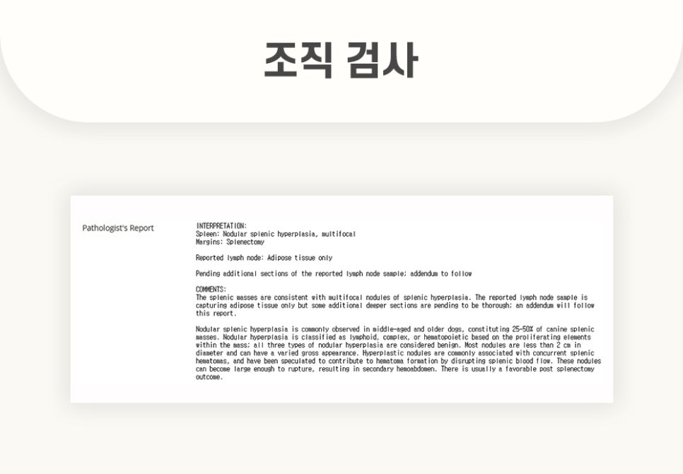 5984e776878f1c4953e52ab8b9aec38d_1762582506_5926.jpg 5984e776878f1c4953e52ab8b9aec38d_1762582506_5926.jpg