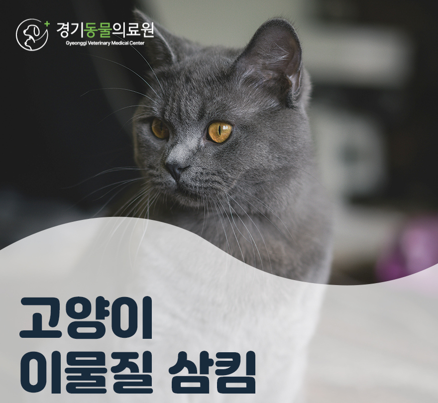 5984e776878f1c4953e52ab8b9aec38d_1762582697_5301.jpg 5984e776878f1c4953e52ab8b9aec38d_1762582697_5301.jpg