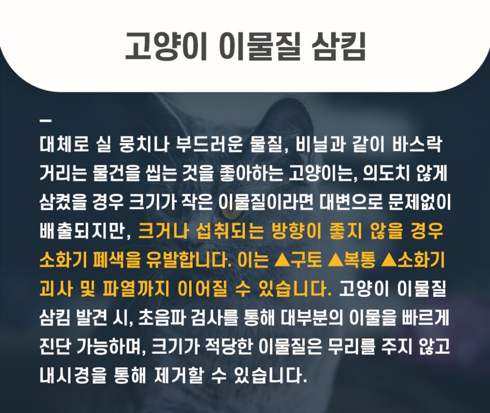 5984e776878f1c4953e52ab8b9aec38d_1762582843_0368.jpg 5984e776878f1c4953e52ab8b9aec38d_1762582843_0368.jpg