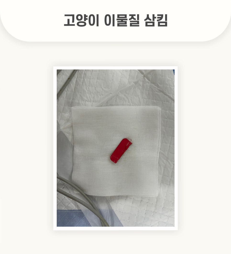 5984e776878f1c4953e52ab8b9aec38d_1762583014_0714.jpg 5984e776878f1c4953e52ab8b9aec38d_1762583014_0714.jpg