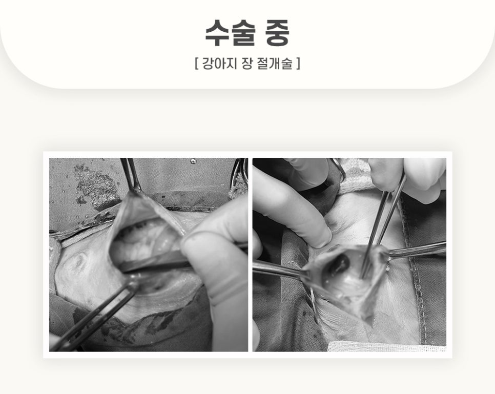 5984e776878f1c4953e52ab8b9aec38d_1762583487_3693.jpg 5984e776878f1c4953e52ab8b9aec38d_1762583487_3693.jpg