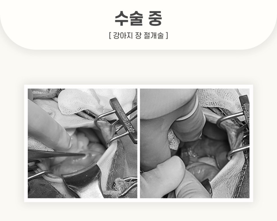 5984e776878f1c4953e52ab8b9aec38d_1762583487_4119.jpg 5984e776878f1c4953e52ab8b9aec38d_1762583487_4119.jpg