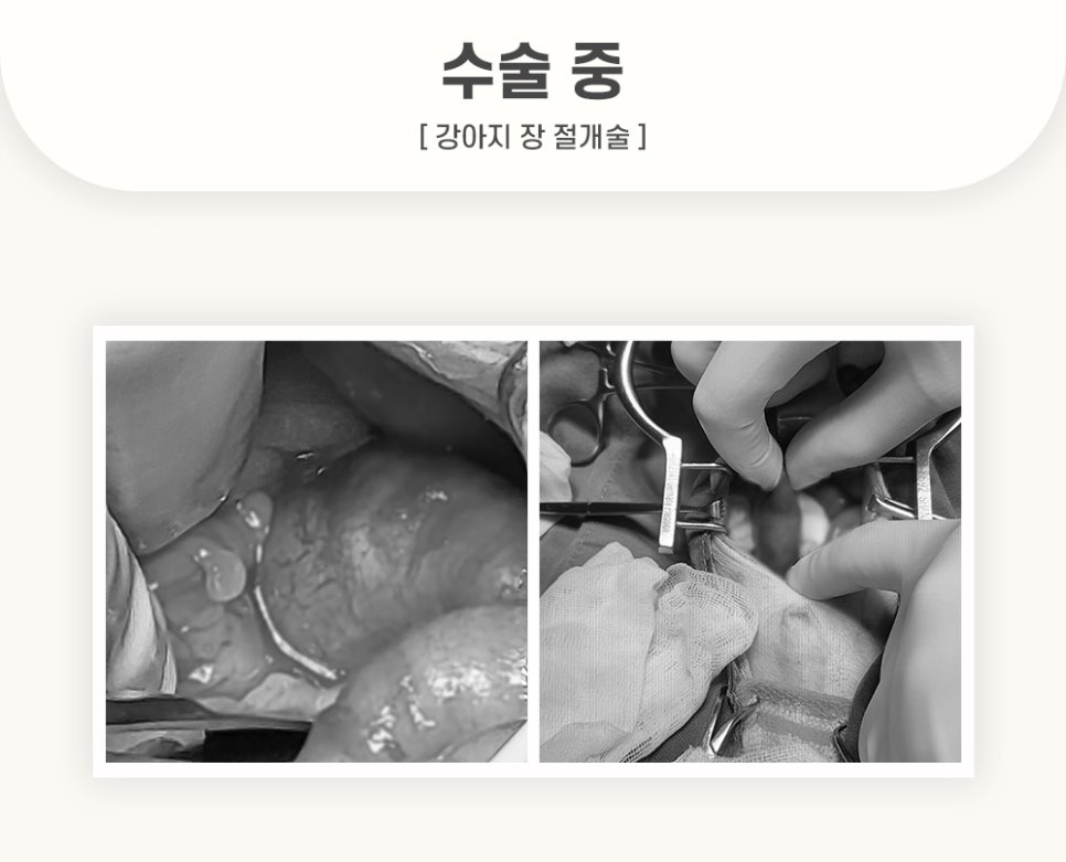 5984e776878f1c4953e52ab8b9aec38d_1762583487_4512.jpg 5984e776878f1c4953e52ab8b9aec38d_1762583487_4512.jpg