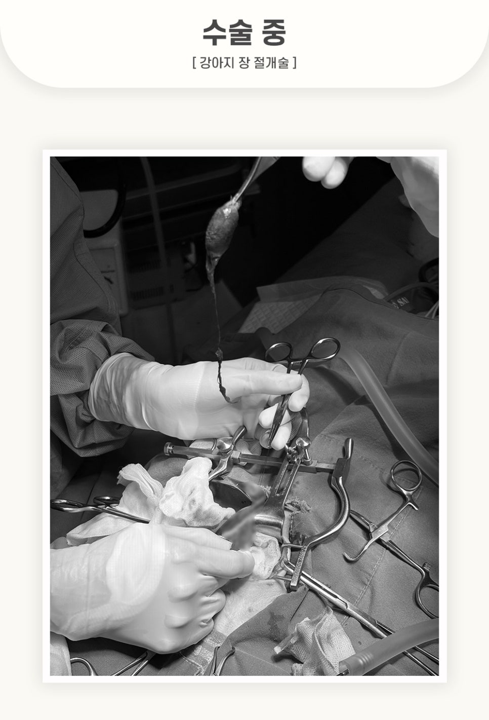 5984e776878f1c4953e52ab8b9aec38d_1762583487_4956.jpg 5984e776878f1c4953e52ab8b9aec38d_1762583487_4956.jpg