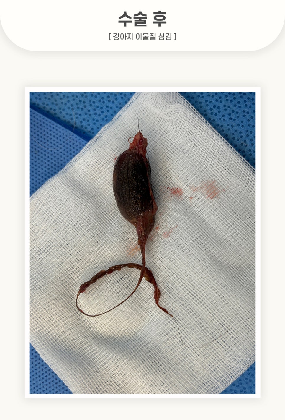 5984e776878f1c4953e52ab8b9aec38d_1762583517_5477.jpg 5984e776878f1c4953e52ab8b9aec38d_1762583517_5477.jpg