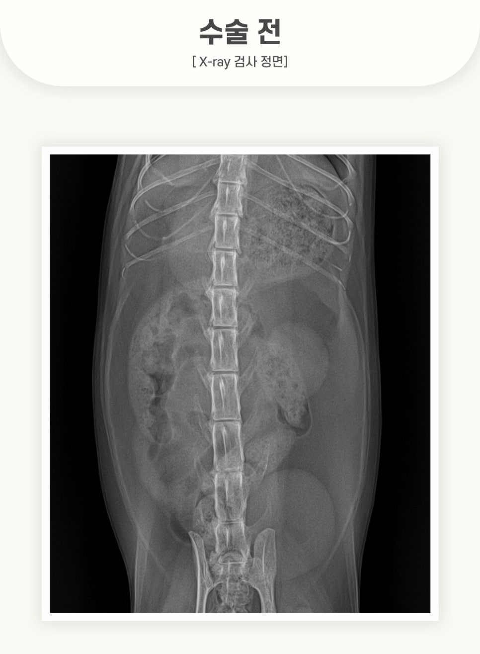 5984e776878f1c4953e52ab8b9aec38d_1762584079_3586.jpg 5984e776878f1c4953e52ab8b9aec38d_1762584079_3586.jpg