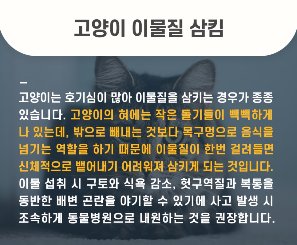 5984e776878f1c4953e52ab8b9aec38d_1762584122_06.jpg 5984e776878f1c4953e52ab8b9aec38d_1762584122_06.jpg