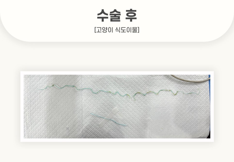 5984e776878f1c4953e52ab8b9aec38d_1762584199_0373.jpg 5984e776878f1c4953e52ab8b9aec38d_1762584199_0373.jpg