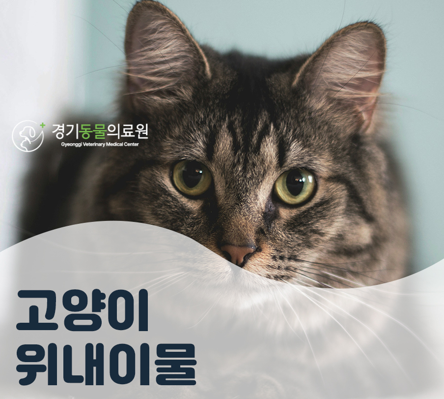 5984e776878f1c4953e52ab8b9aec38d_1762584233_8376.jpg 5984e776878f1c4953e52ab8b9aec38d_1762584233_8376.jpg